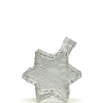 BOTTIGLIA FIOCCO DI NEVE 200ML TF  