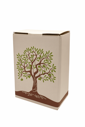 BAG IN BOX OLIO 5 LITRI  